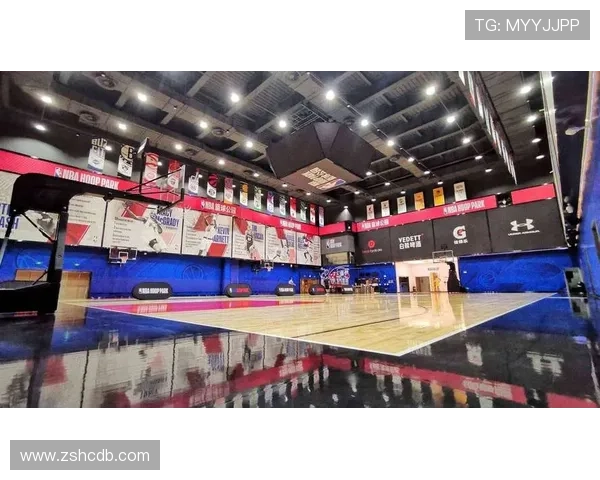 成都篮球队实力大变革引发热议球迷期待新赛季的精彩表现